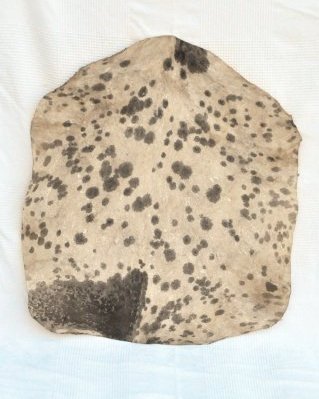 Pele de cabra djembê Sahel branca manchada muito espessa