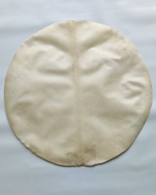 Pele de alce djembê fina raspada XL