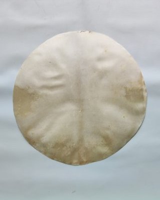 Pele de alce djembê semi espessa raspada M