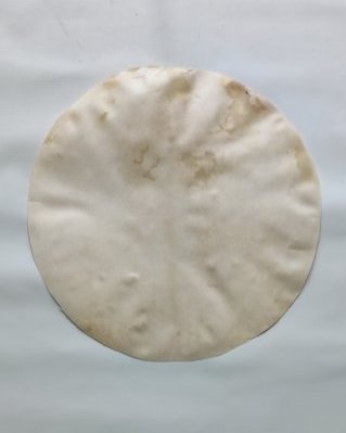 Pele de alce djembê fina raspada M