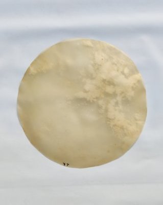 Pele de cavalo djembê espessa sem pelo M