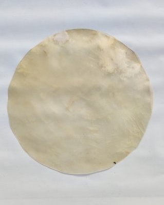 Pele de cavalo djembê muito fina sem pelo L