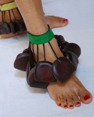 Chocalho de pé Entada