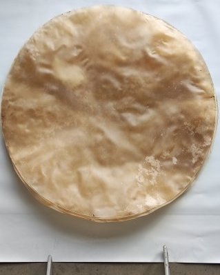 Pele de boi / vaca tambor semi espessa sem pelo XXL