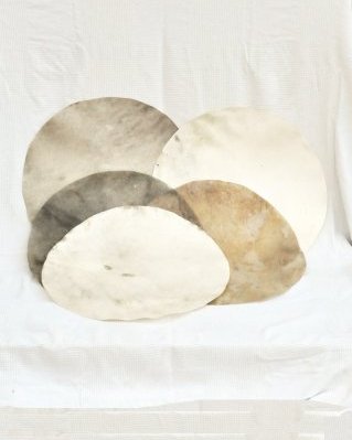 Pacote 5 peles de cervídeos tambor djembê raspadas desclassificadas XL