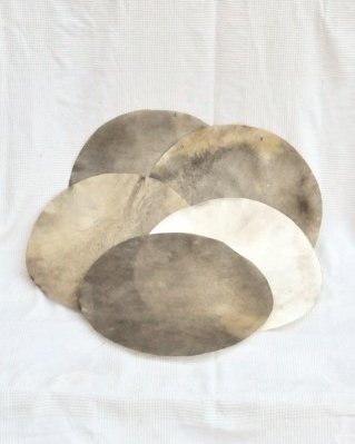 Pacote 5 peles de cervídeos tambor djembê raspadas desclassificadas S