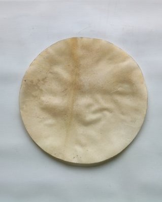 Pele de alce djembê muito espessa raspada S