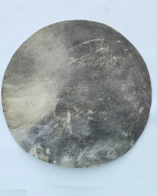 Pele de cervo djembê muito espessa raspada L