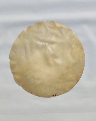 Pele de cavalo djembê fina sem pelo M