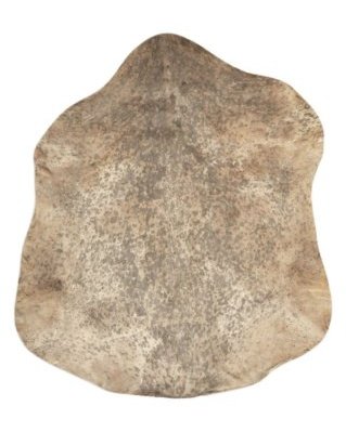 Pele de cabra djembê Sahel castanha salpicada espessa