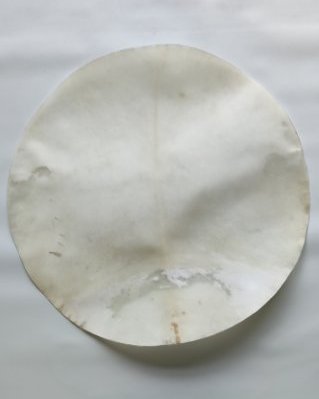 Pele de alce djembê semi espessa raspada XL