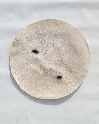 Pele de burro djembê fina com pelo M