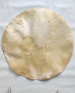 Pele de bezerro / vaca djembê muito fina sem pelo XL