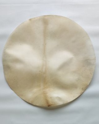 Pele de alce djembê muito espessa raspada XL