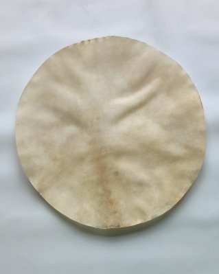 Pele de alce djembê espessa raspada M