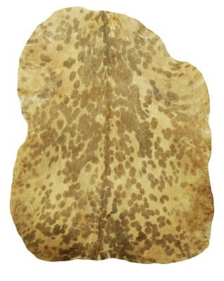 Pele de cabra djembê Sahel branca manchada semi-espessa