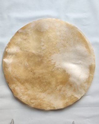 Pele de bezerro / vaca djembê fina sem pelo XL